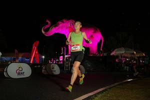 BIB: 
                            <button type="button" onclick="openModal(26543397)" class="btn btn-primary btn-sm float-right btn-popup" data-toggle="modal" data-target=".modal-high-quality">
                        <i class="fas fa-shopping-cart"></i> Add to Cart
                    </button>
                                            <button type="button" onclick="isThisMe(26543397, true)" class="btn btn-success btn-sm float-right btn-popup btn-isme hidden" data-toggle="tooltip" data-placement="bottom" title="นี่คือรูปของคุณใช่ไหม คลิกที่นี่เพื่อเอาเข้าอัลบั้ม">
                        <i class="fas fa-plus"></i> Add to album
                    </button>
                    <button type="button" onclick="isThisMe(26543397, false)" class="btn btn-warning btn-sm float-right btn-popup btn-isnotme hidden">
                        <i class="fas fa-ban"></i> Remove from album
                    </button>